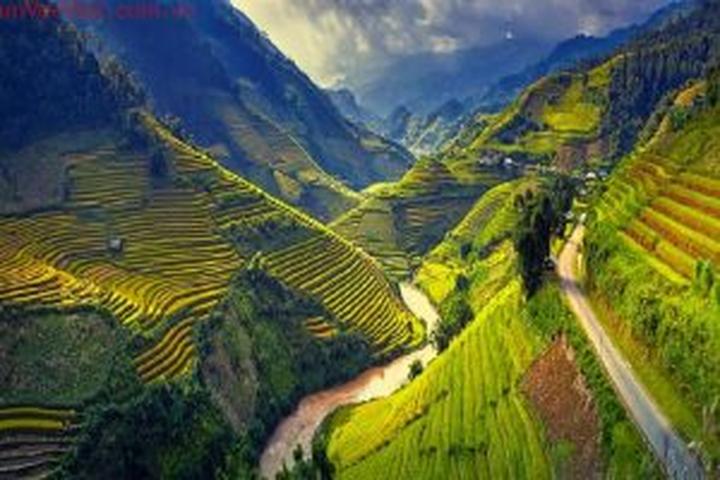 Hotspot Matrix và Xuất hiện phim Việt dở nhất 2025, netizen than trời “để tiền ăn bát phở