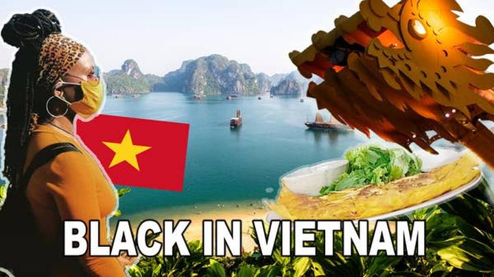 Hotspot Matrix và Forestival: Gắn kết nghệ thuật, cộng đồng và thiên nhiên