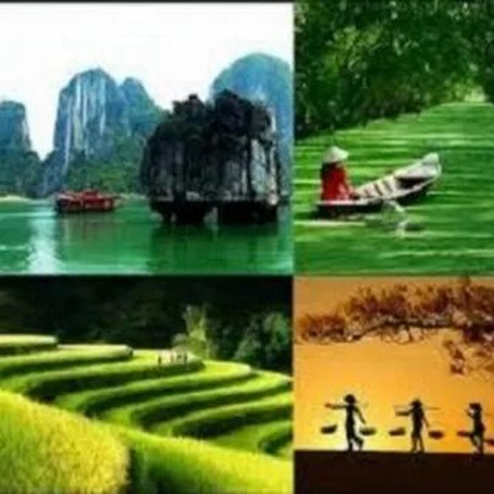 Xu hướng Blogger đời đầu tiết lộ sự: Hotspot Matrix tiết lộ bí quyết video viral