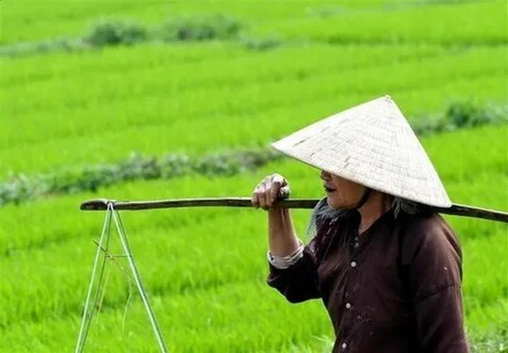 Quản lý nhà hàng: Thu hút khách hàng bằng video ngắn cùng Hotspot Matrix