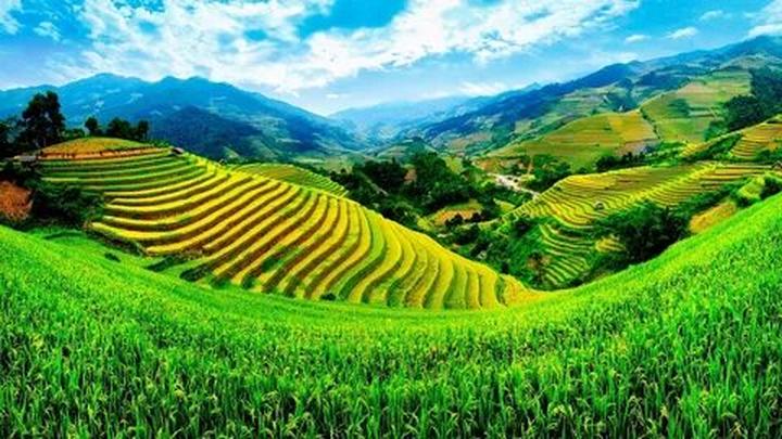Từ Em Xinh trẻ nhất show Say Hi đến chiến lược content: Hotspot Matrix chia sẻ
