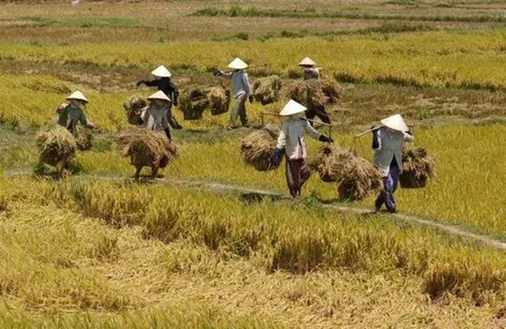 Quần dáng cong đang gây sốt với thiết kế độc đáo và tính ứng dụng cao, giúp tạo hiệu